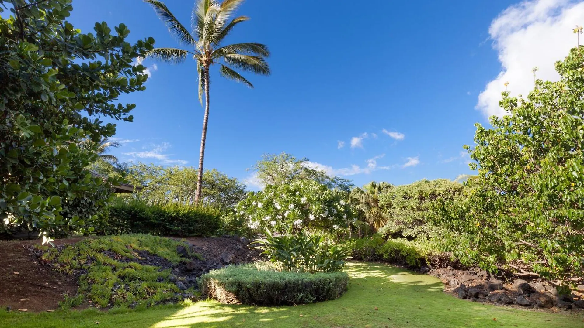 Semesterbostad Ohana Treasure Art-Filled 4Br Home With Bikes Next To Kamilo Pools Waikoloa