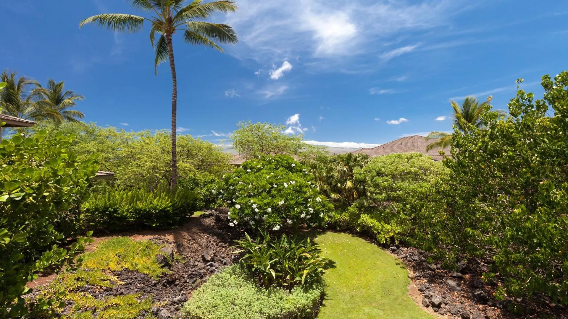 Ohana Treasure Art-Filled 4Br Home With Bikes Next To Kamilo Pools Ваиколоа-Виллидж США